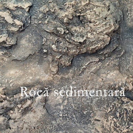 Rocă sedimentară